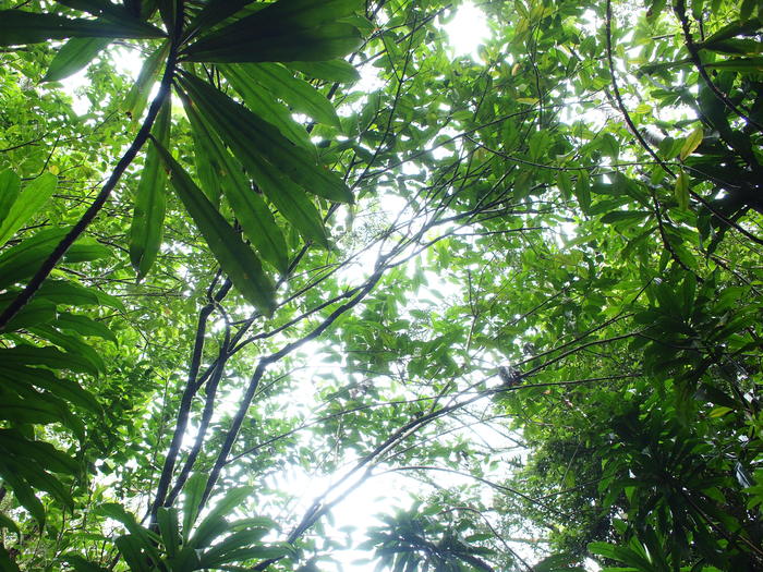 f0185920_23224210.jpg