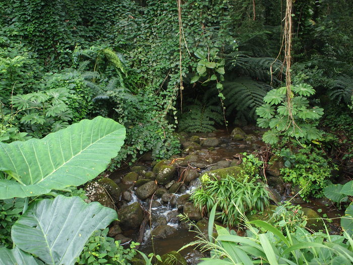 f0185920_23284010.jpg