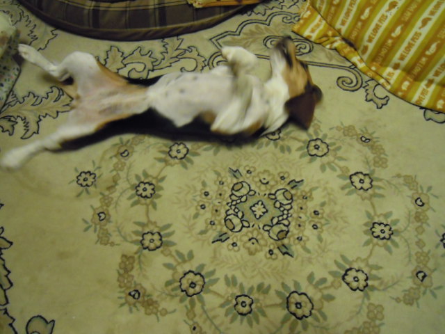 c0166622_1055026.jpg