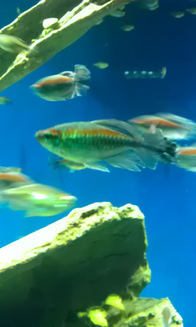 a0005524_05738100.jpg
