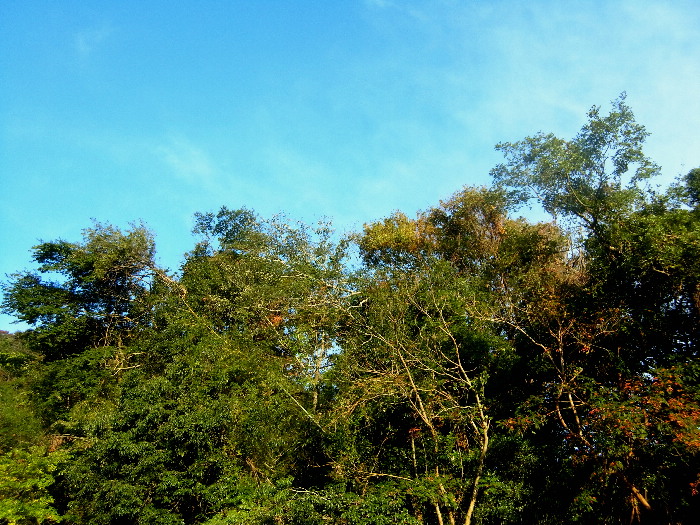 f0103126_20321735.jpg