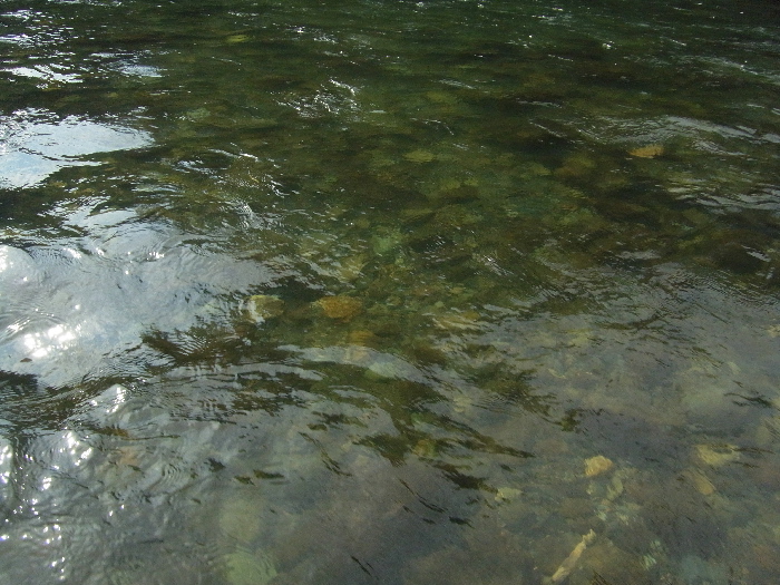 f0103126_20323976.jpg