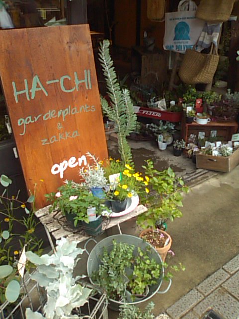 c0100534_8302237.jpg