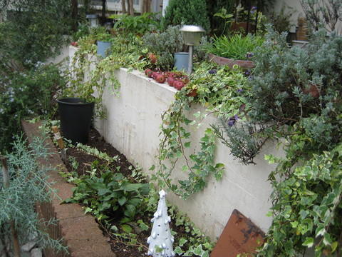 f0061334_21181350.jpg