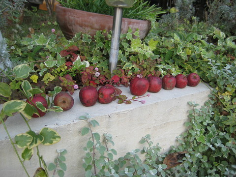 f0061334_21183280.jpg