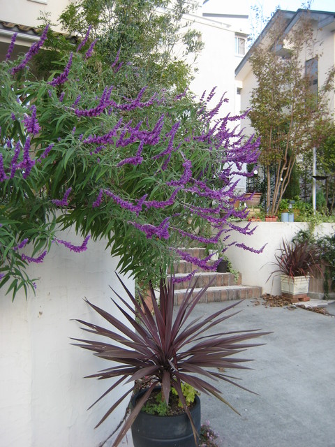 f0061334_2127521.jpg