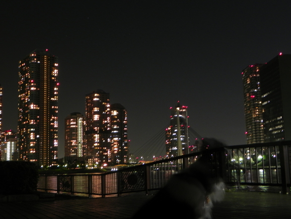a0185236_1374486.jpg