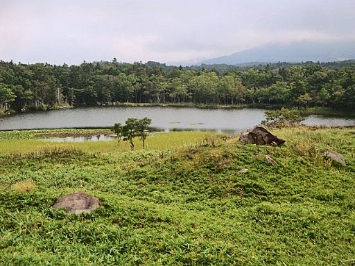 b0012636_23524371.jpg