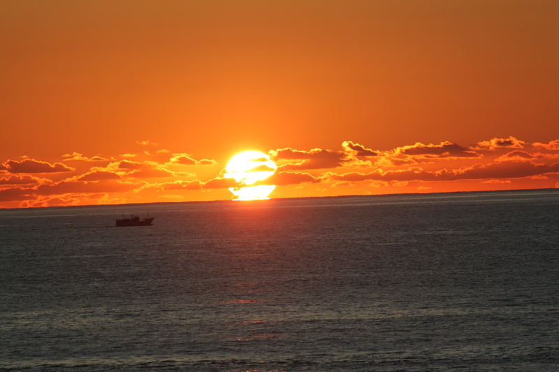b0184636_1036465.jpg