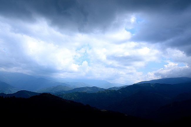 e0055138_1054453.jpg