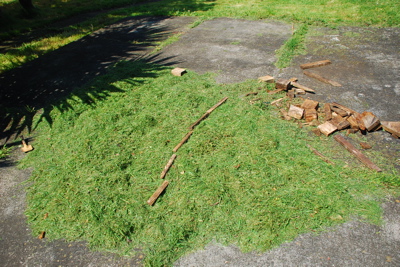 b0208444_1012830.jpg