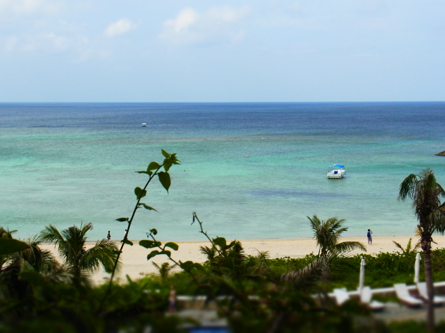 d0097144_1419710.jpg