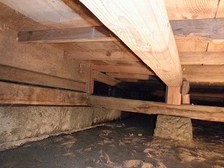 c0127058_20454627.jpg
