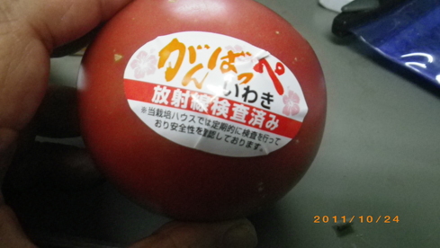b0075059_20123978.jpg