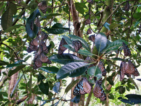 d0244960_16432639.jpg