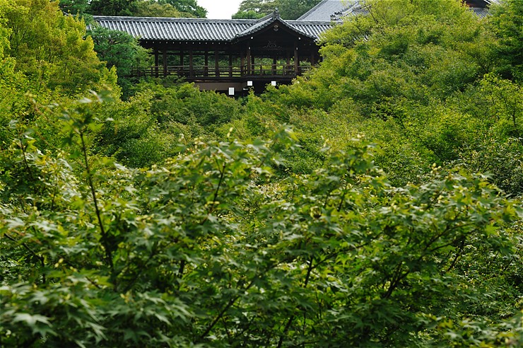 f0222161_13124570.jpg