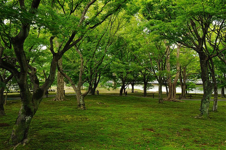 f0222161_1313521.jpg