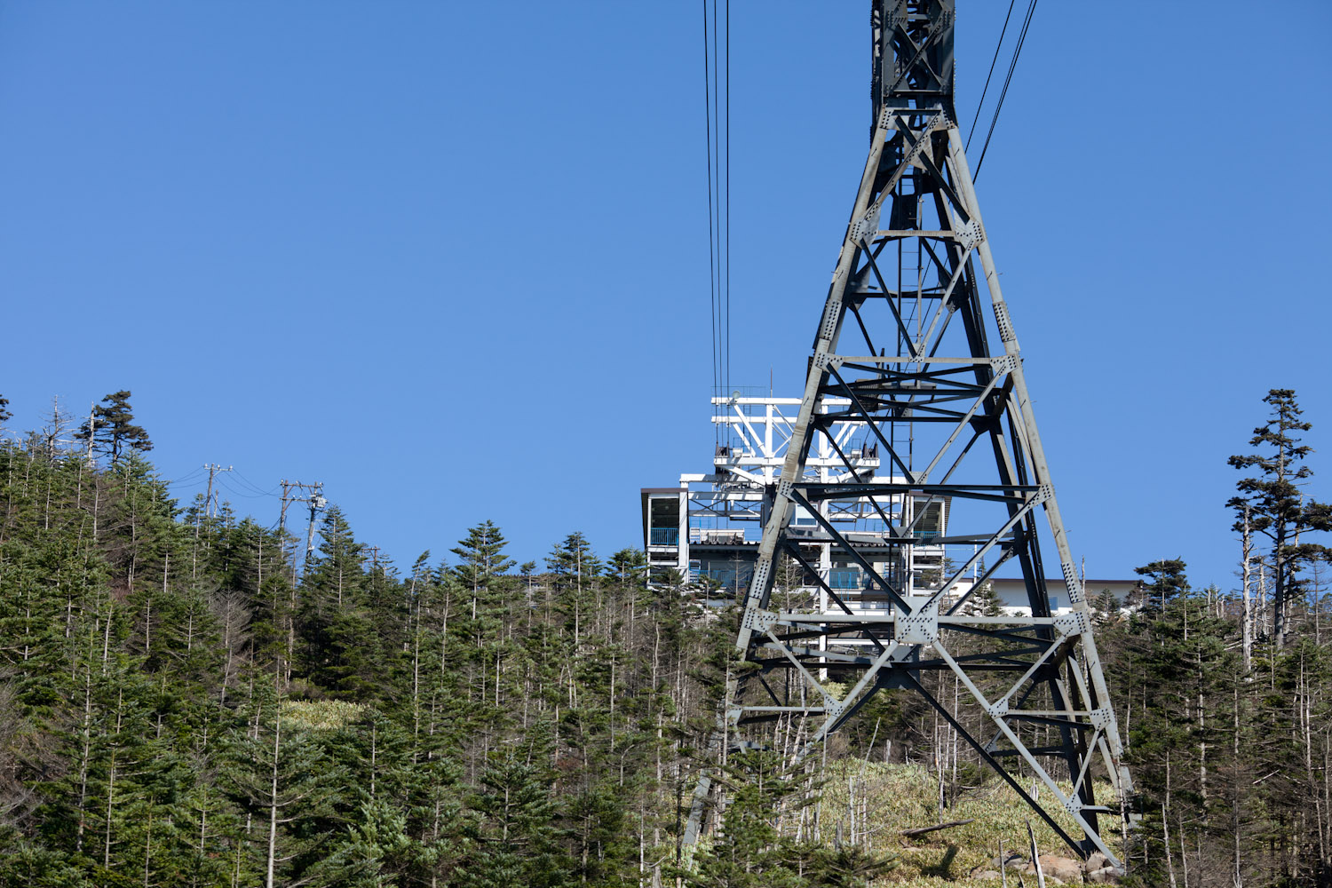 f0227662_032327.jpg