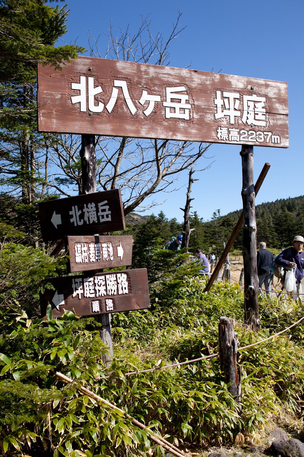 f0227662_033012.jpg