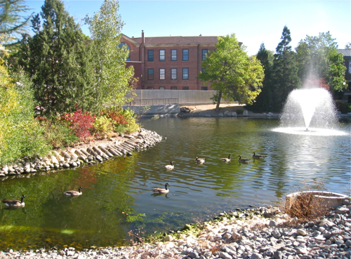 f0238562_11313984.jpg