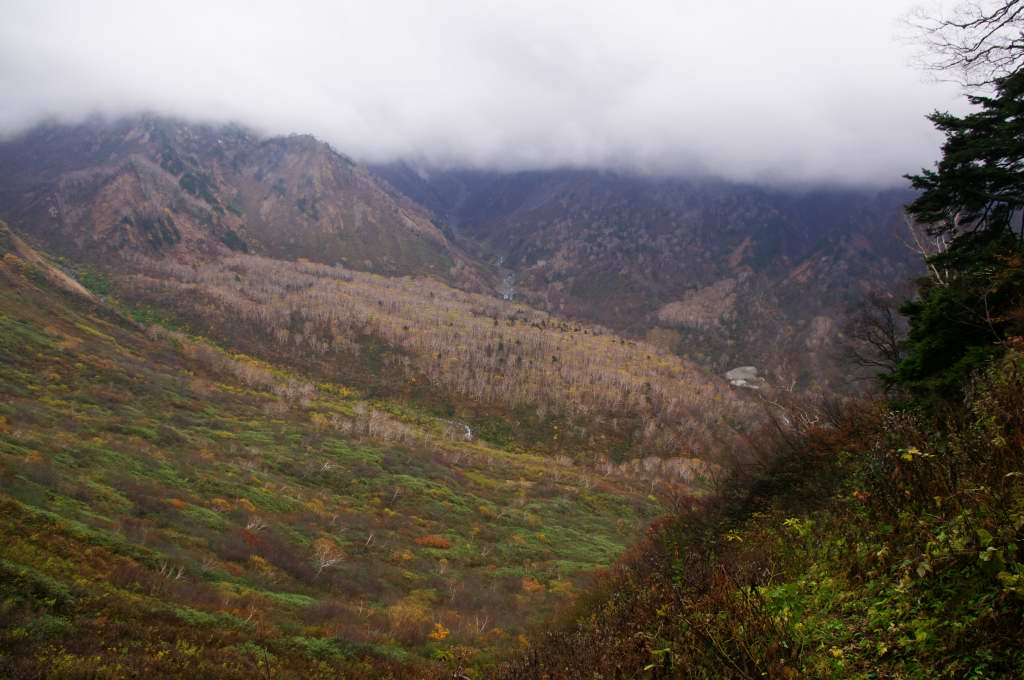 a0196565_3541719.jpg