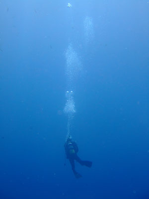 b0033573_21431137.jpg