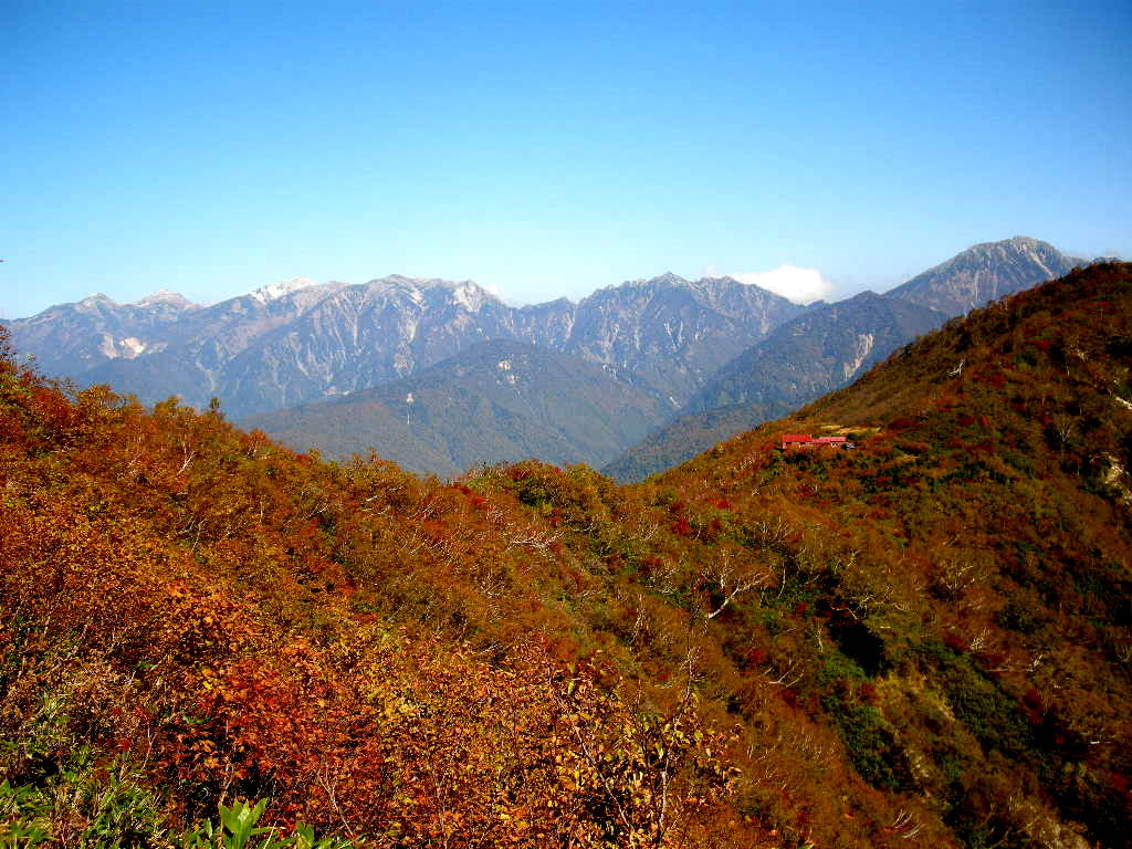 b0185573_10132139.jpg