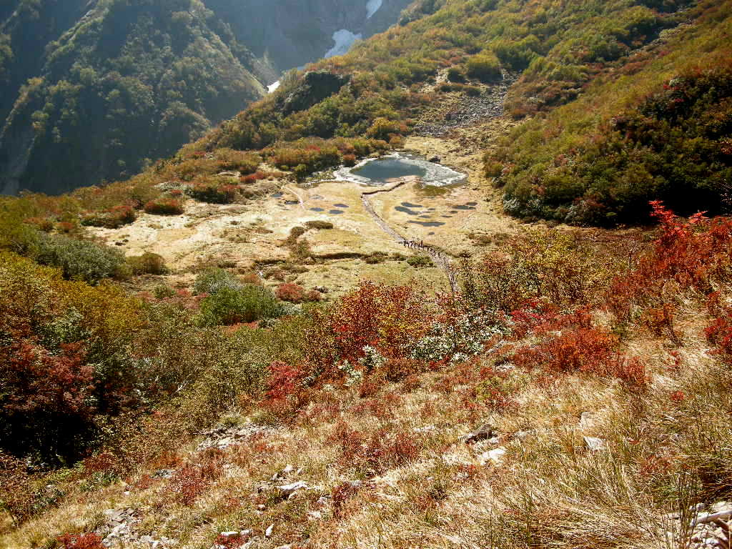 b0185573_1625175.jpg