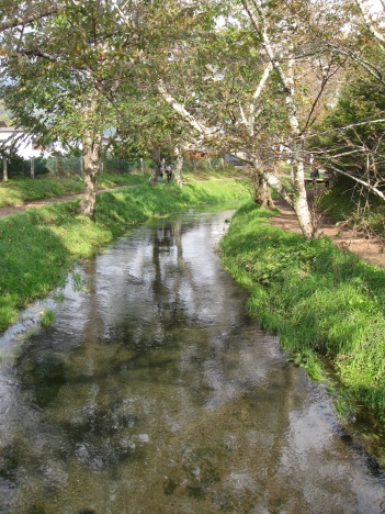 f0175875_20242619.jpg