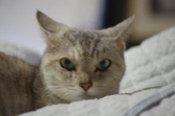 f0054677_8135562.jpg
