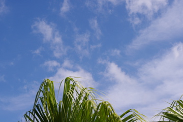 f0054677_823649.jpg