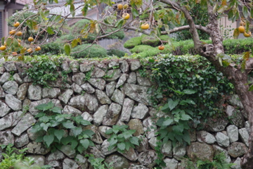 f0054677_89770.jpg