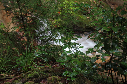 e0024081_21314038.jpg