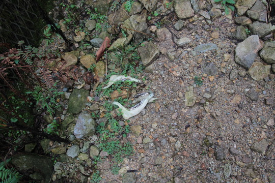 e0024081_21315754.jpg