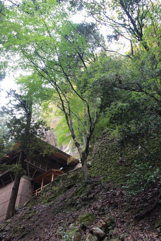 e0024081_21322521.jpg