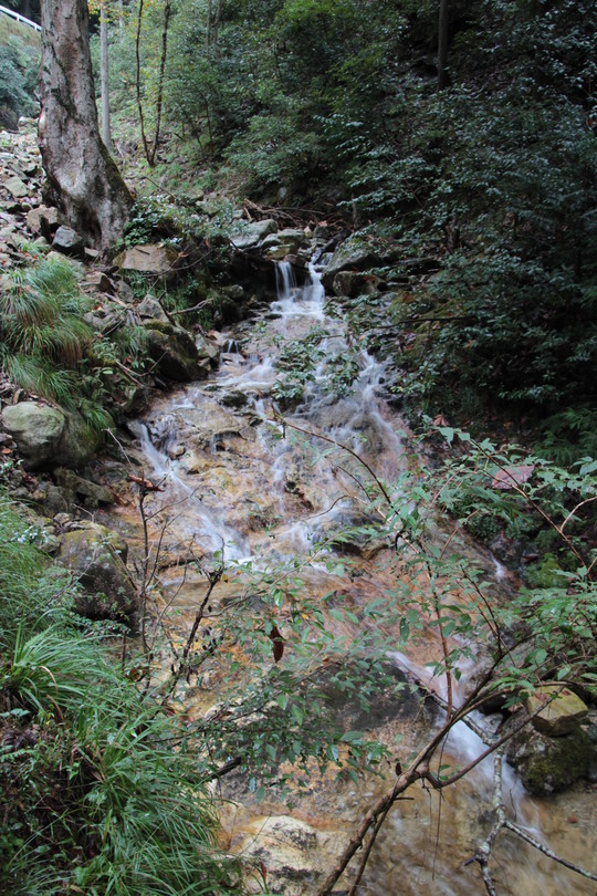 e0024081_2132970.jpg