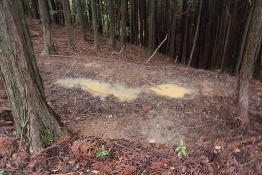 e0024081_2133125.jpg