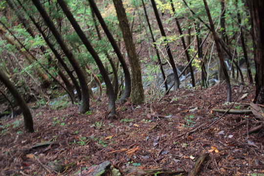 e0024081_21334335.jpg