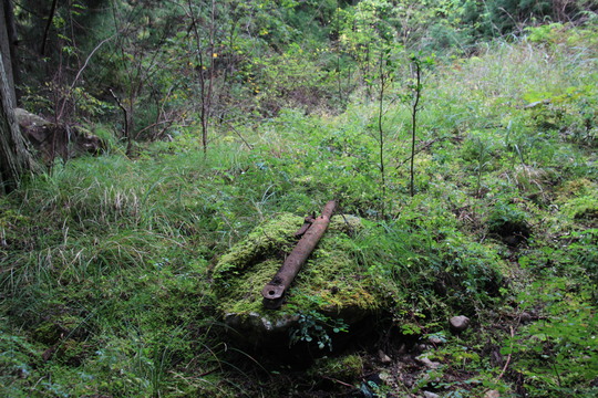 e0024081_21362551.jpg