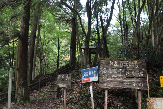 e0024081_21365097.jpg