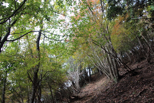 e0024081_21374087.jpg