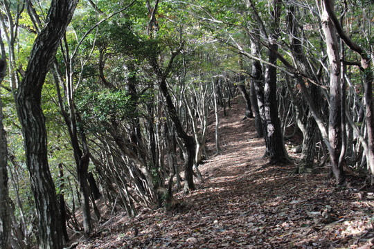 e0024081_21382935.jpg