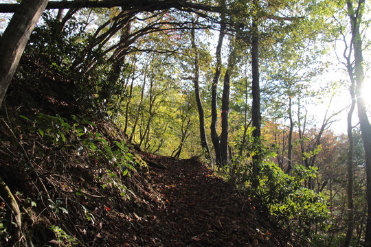 e0024081_21403283.jpg