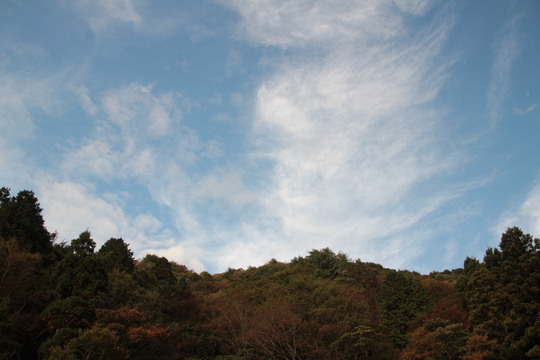e0024081_2141932.jpg
