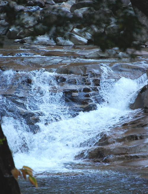 d0179983_18413418.jpg