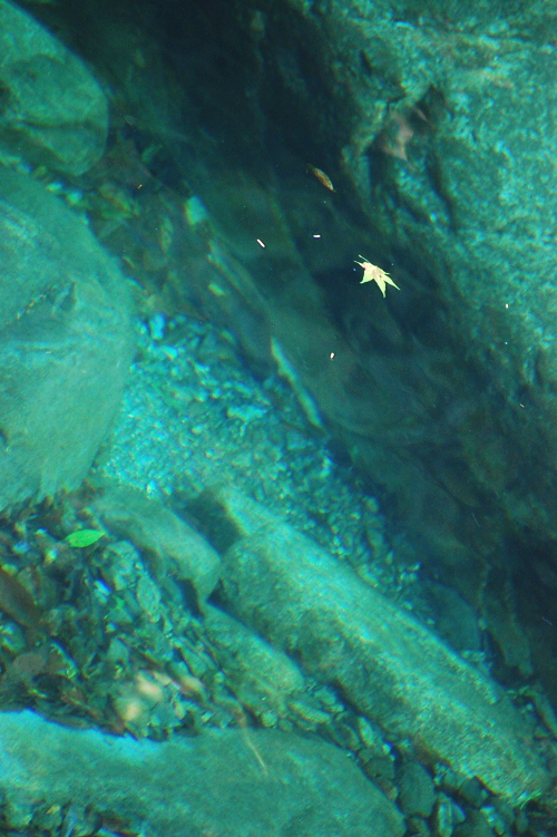 d0179983_18414864.jpg