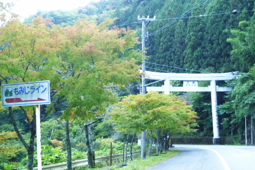d0179983_1918896.jpg