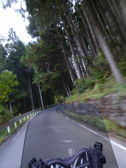 d0179983_19195960.jpg
