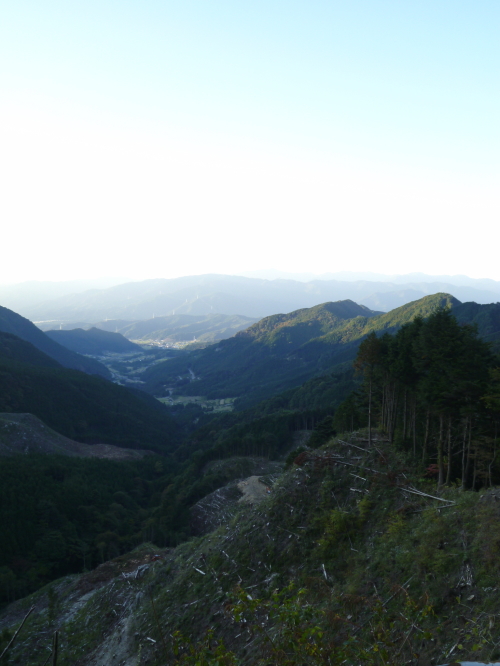 d0179983_1920494.jpg