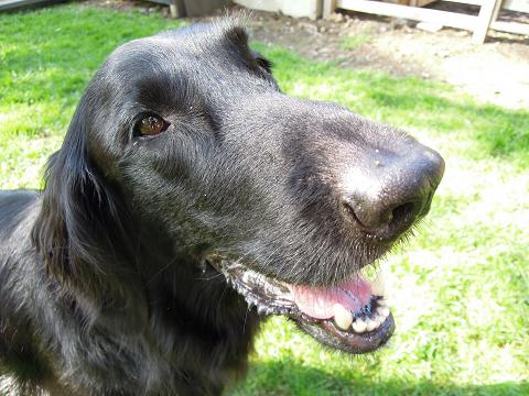 f0045283_1518321.jpg